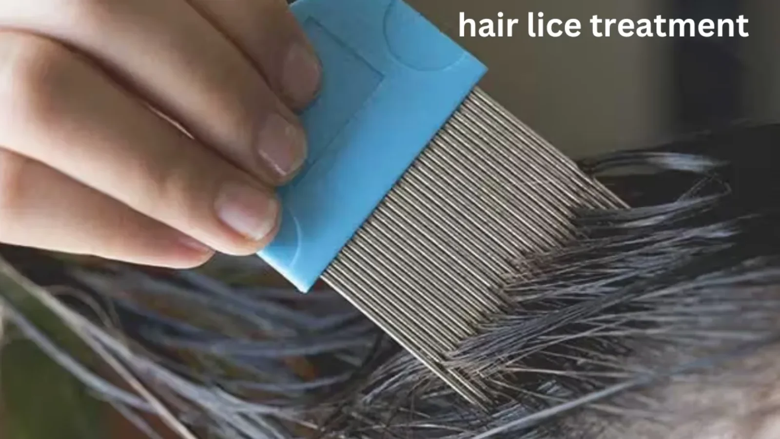 hair lice treatment